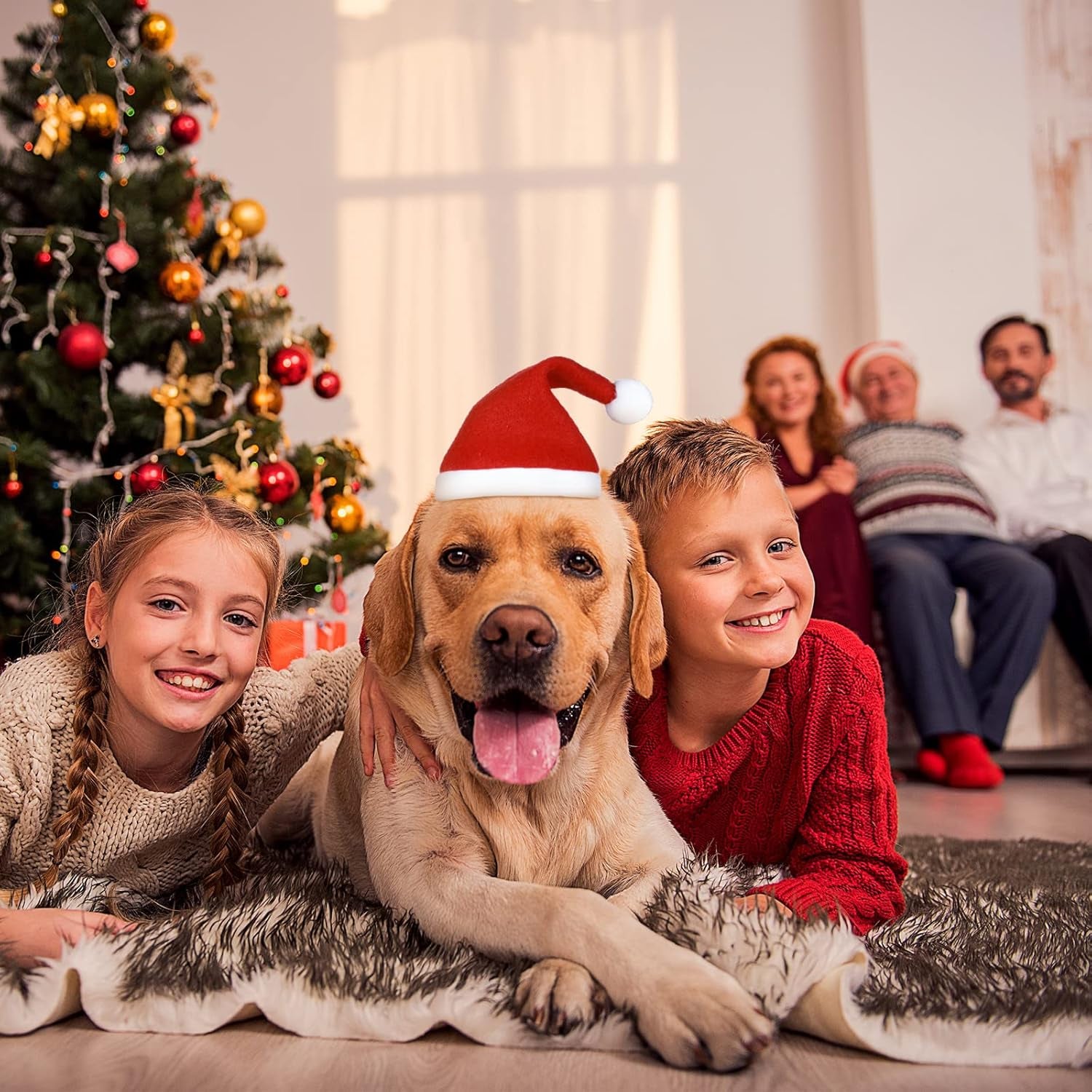 4 Pieces Pet Christmas Hats