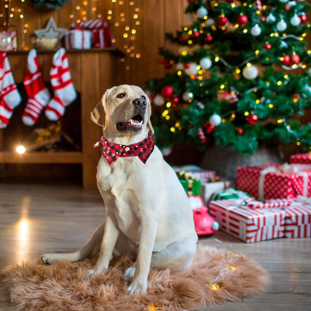 Christmas Adjustable Pet Collar